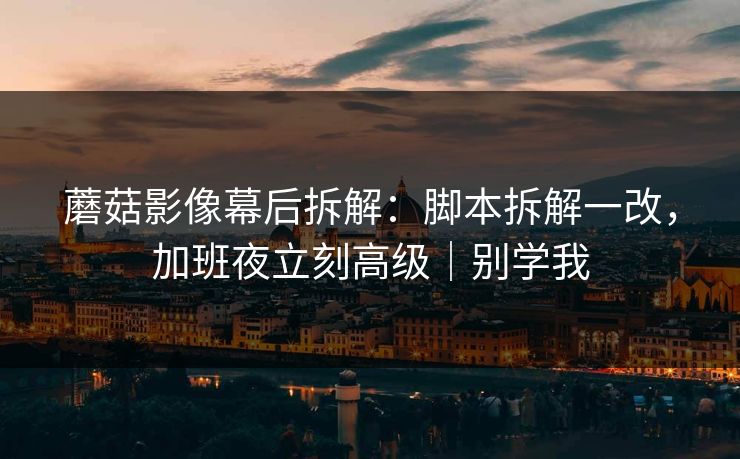 蘑菇影像幕后拆解：脚本拆解一改，加班夜立刻高级｜别学我