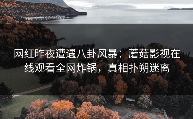 网红昨夜遭遇八卦风暴：蘑菇影视在线观看全网炸锅，真相扑朔迷离
