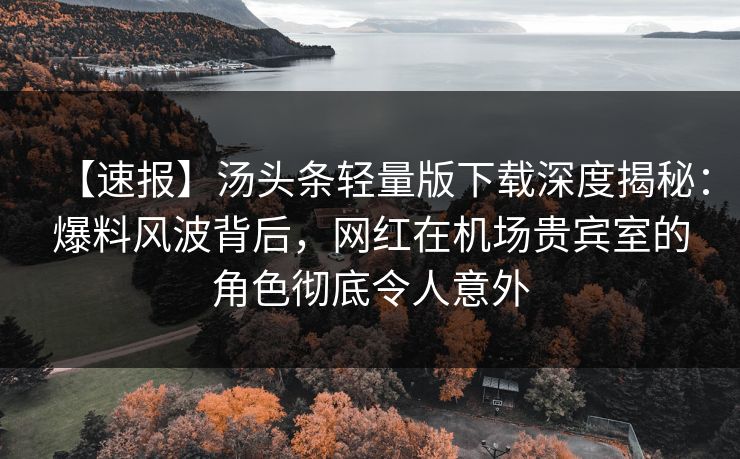 【速报】汤头条轻量版下载深度揭秘：爆料风波背后，网红在机场贵宾室的角色彻底令人意外