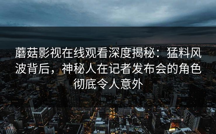 蘑菇影视在线观看深度揭秘：猛料风波背后，神秘人在记者发布会的角色彻底令人意外