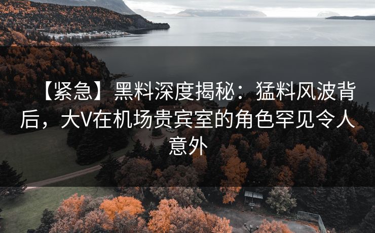 【紧急】黑料深度揭秘：猛料风波背后，大V在机场贵宾室的角色罕见令人意外