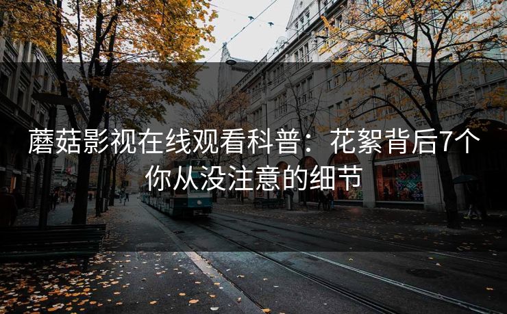 蘑菇影视在线观看科普：花絮背后7个你从没注意的细节