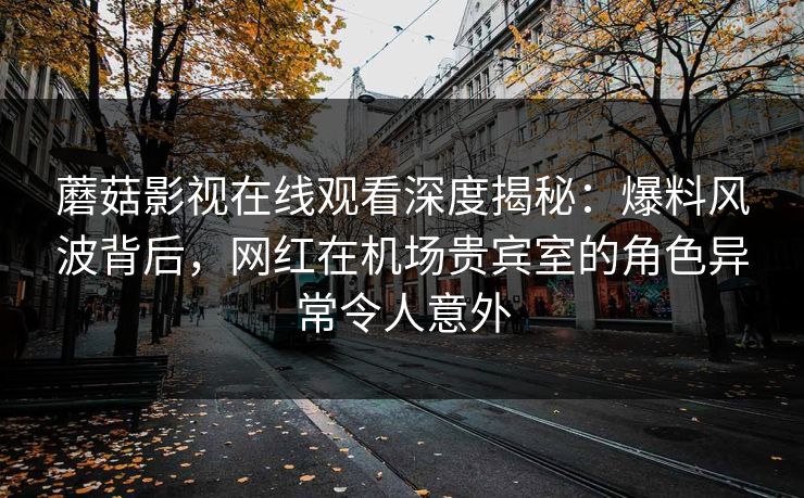 蘑菇影视在线观看深度揭秘：爆料风波背后，网红在机场贵宾室的角色异常令人意外