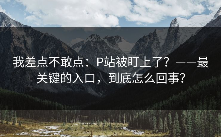 我差点不敢点：P站被盯上了？——最关键的入口，到底怎么回事？